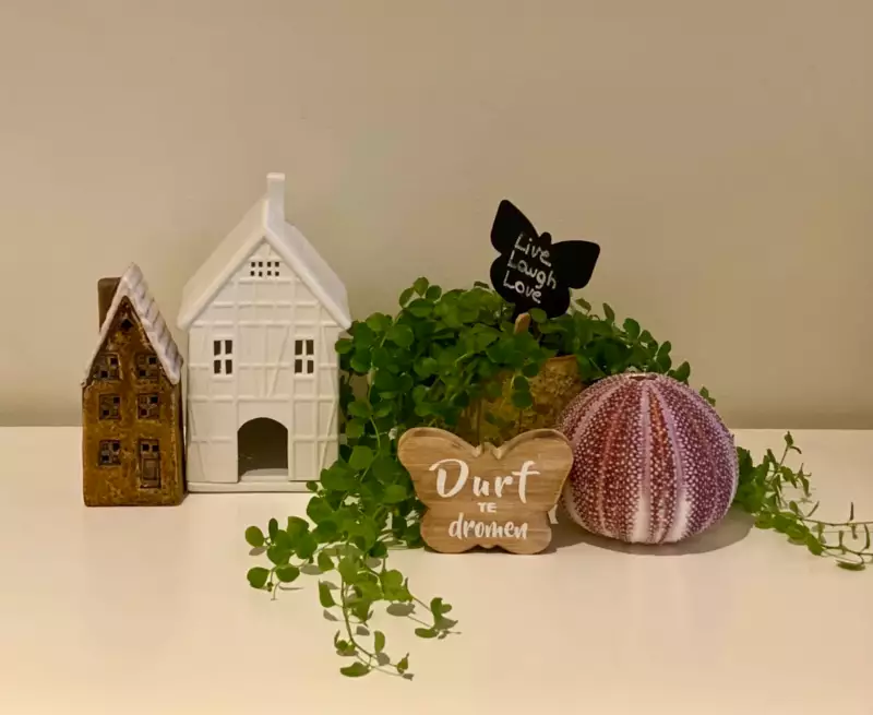 la-masc-vakantie-appartement-4-personen-st-idesbald-30 -  - Foto's